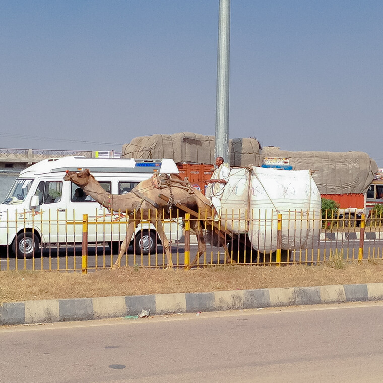 India 2014 - Agra 030.jpg